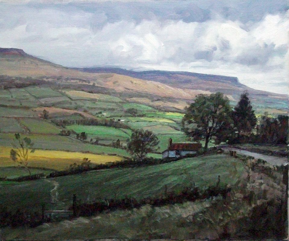 #895 The Brecons Swales