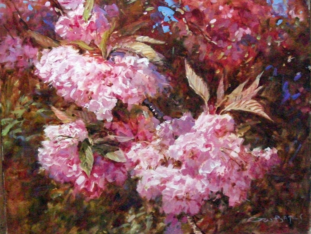 #2408 cherry blossoms 